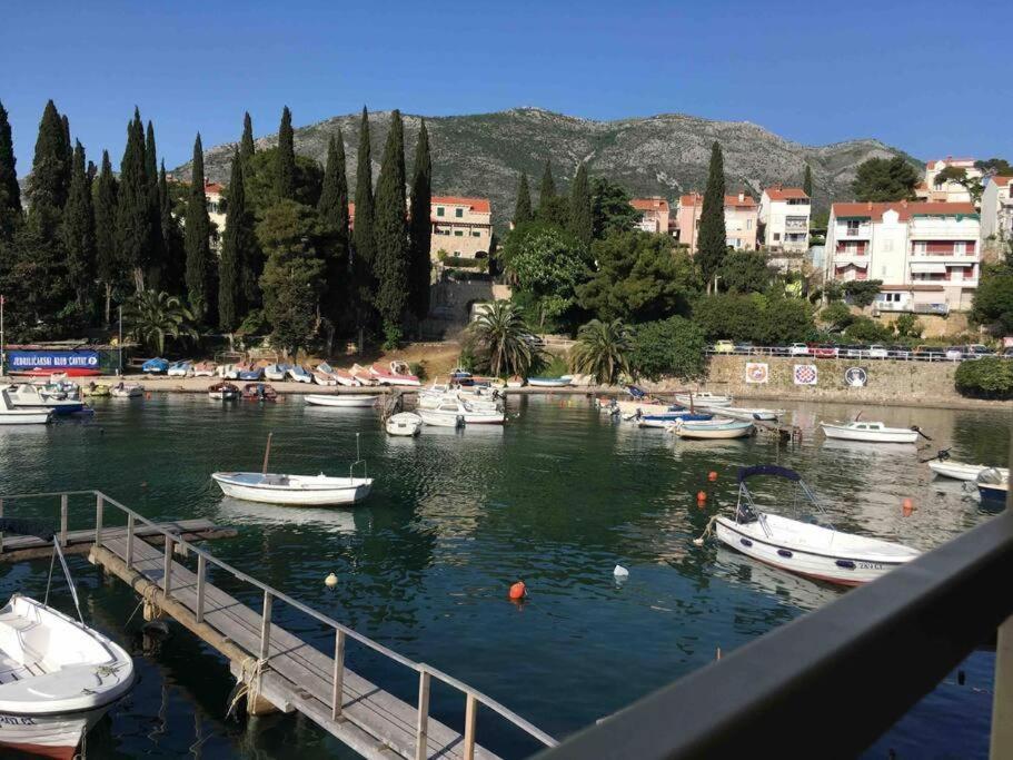 Lovely Split Level Apartment With Sea View, Pool, Free Parking And Wifi Кавтат Екстериор снимка